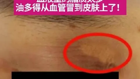 体育品牌新品鞋款，电竞玩家热议不断
